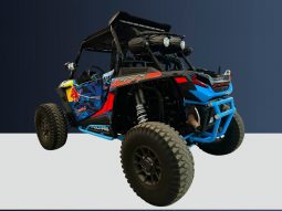 Polaris 1000 2019 full