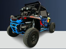 Polaris 1000 2019
